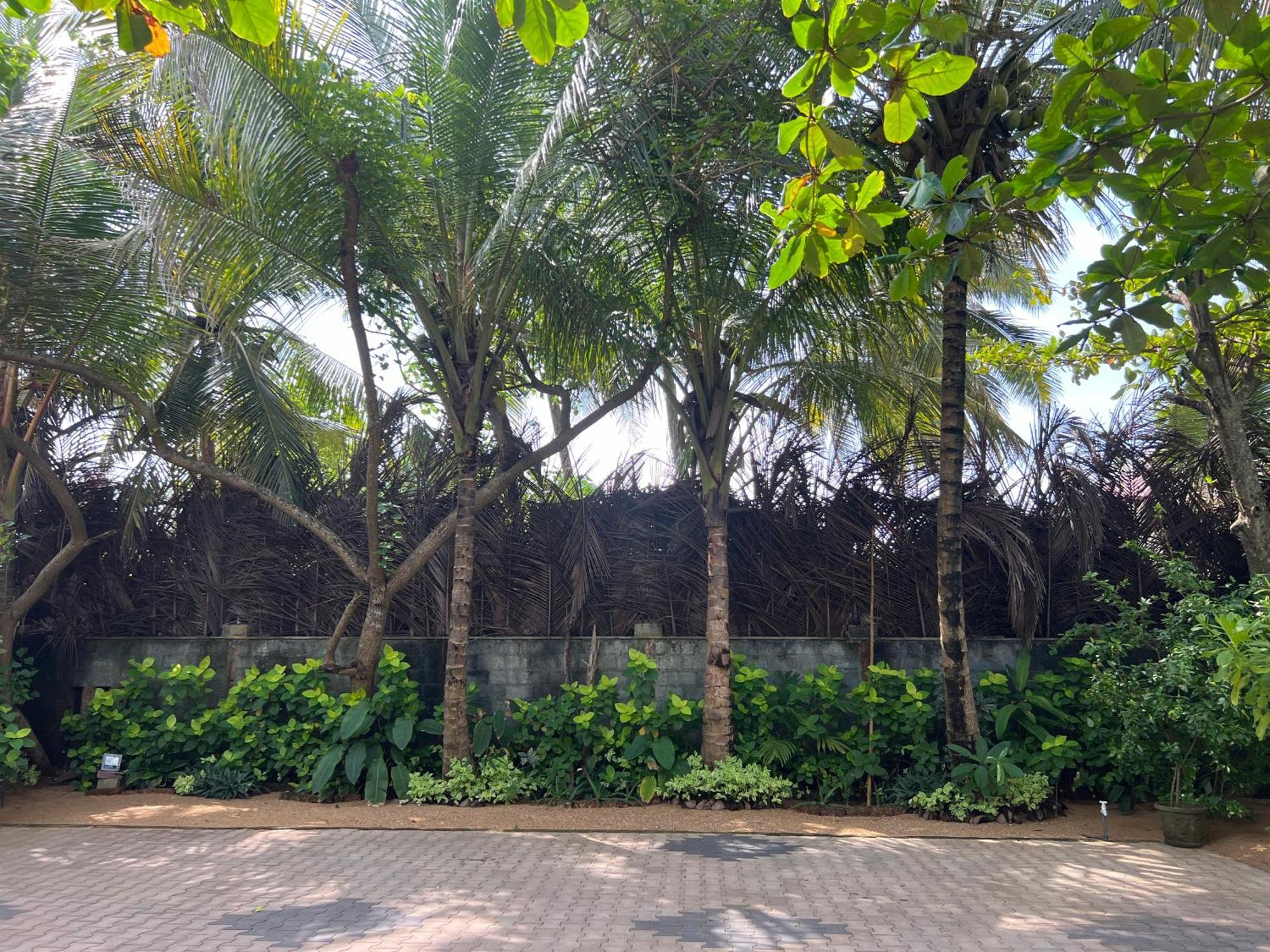 Lohas Beach Resort Villa 칼루타라 외부 사진