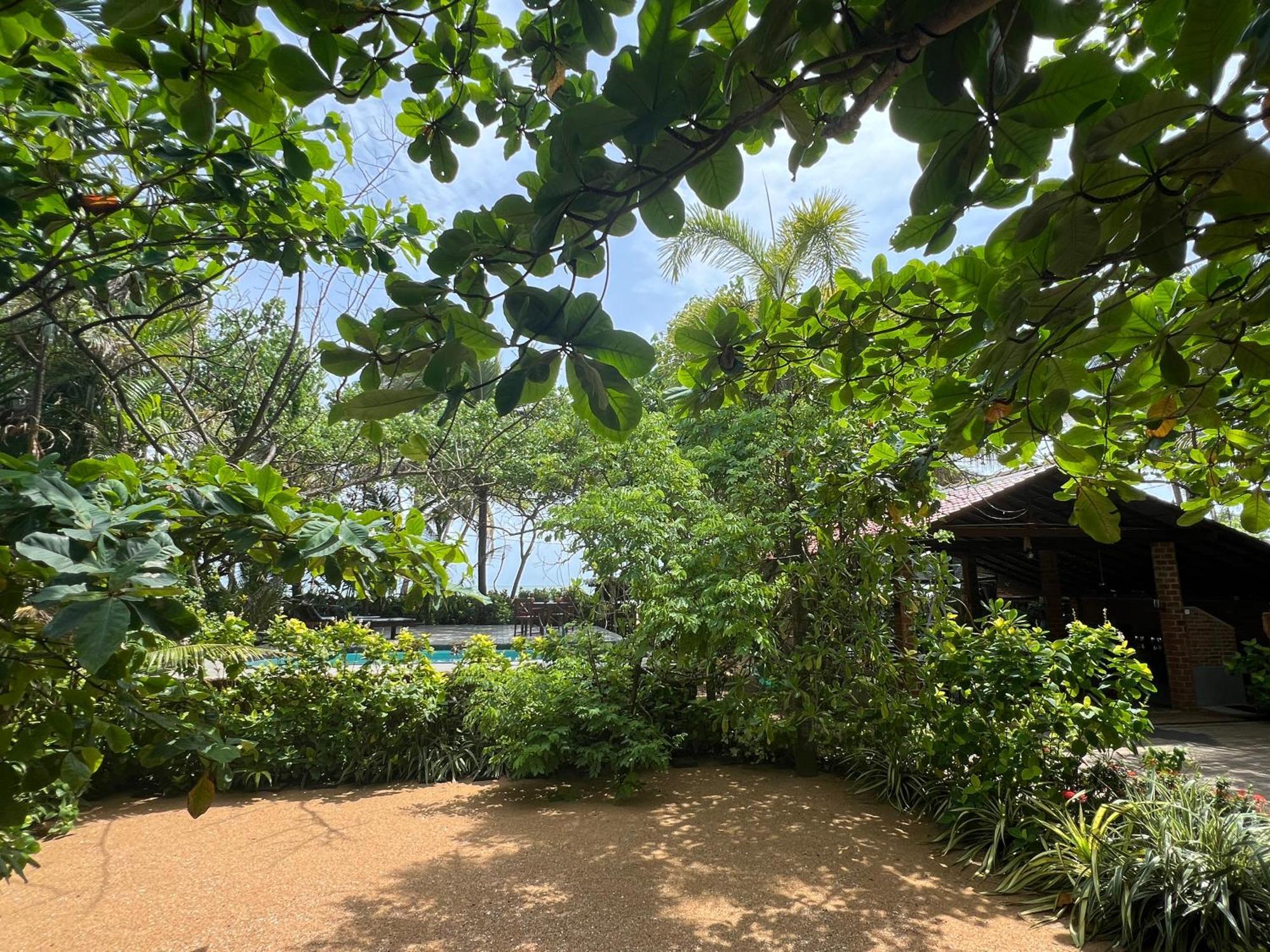 Lohas Beach Resort Villa 칼루타라 외부 사진