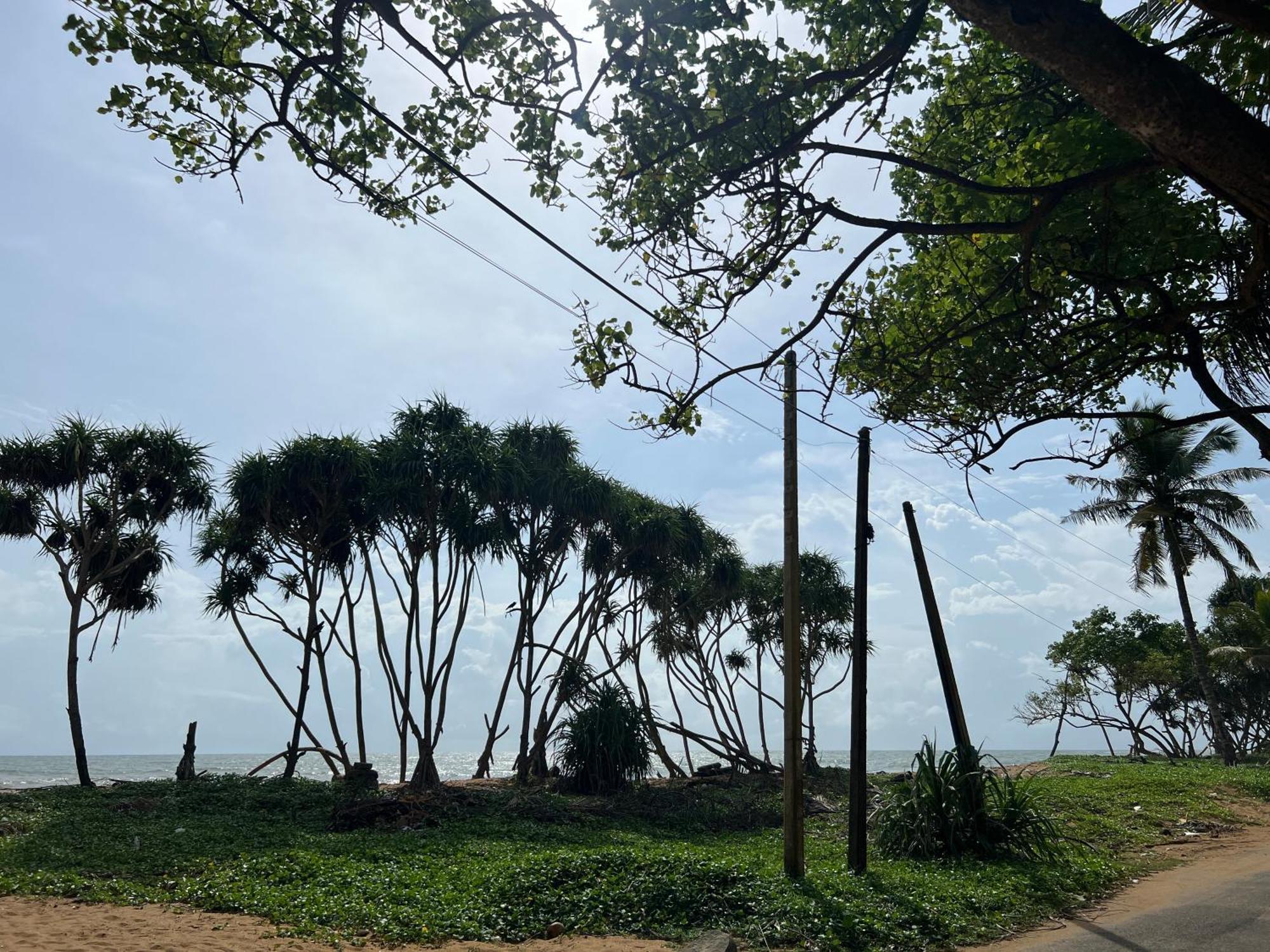 Lohas Beach Resort Villa 칼루타라 외부 사진